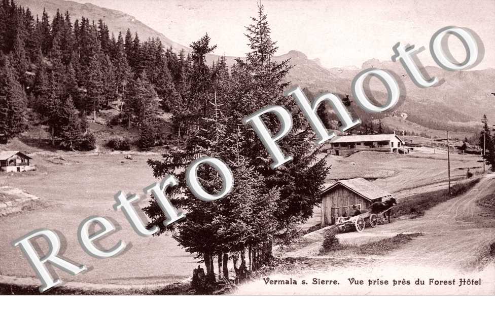 Vue prise pres du Forest Hotel