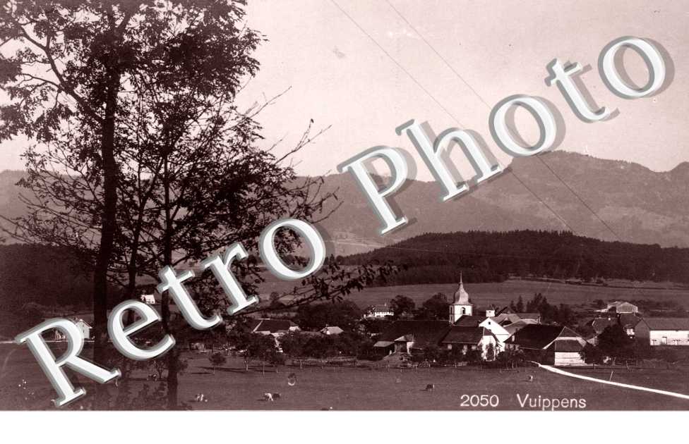 Vue Panoramique