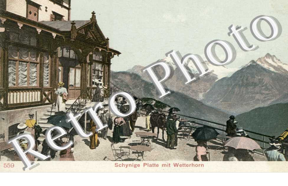 Schynige Platte mit Wetterhorn
