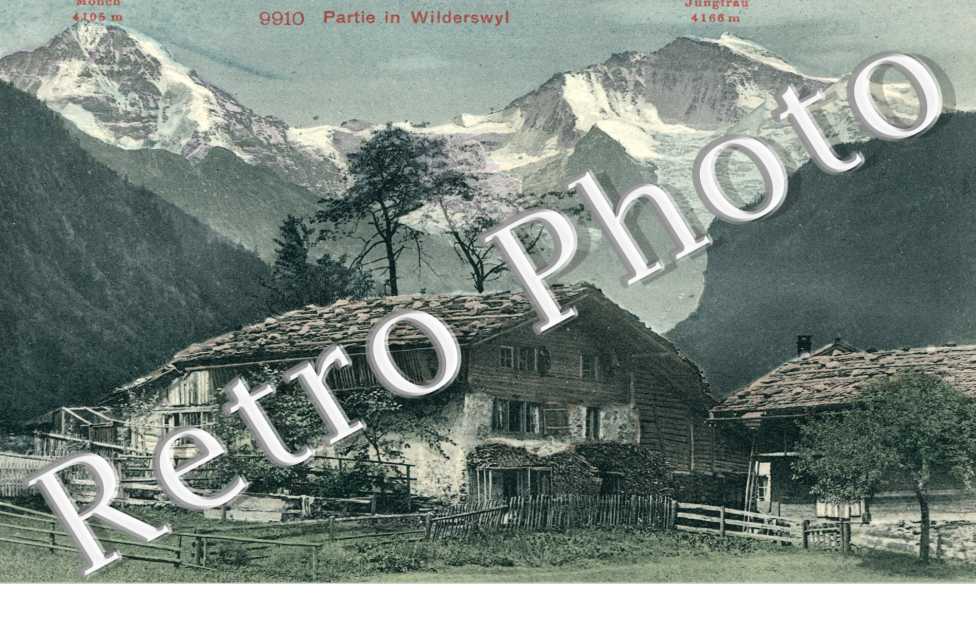 partie in Wilderswyl