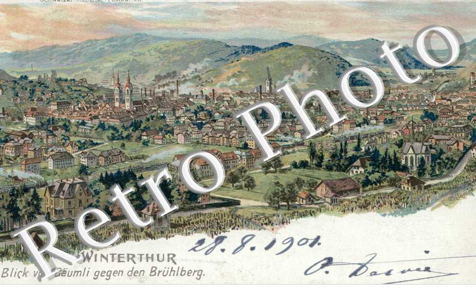 Blick vom Baumli gegen den Bruhlberg  1901