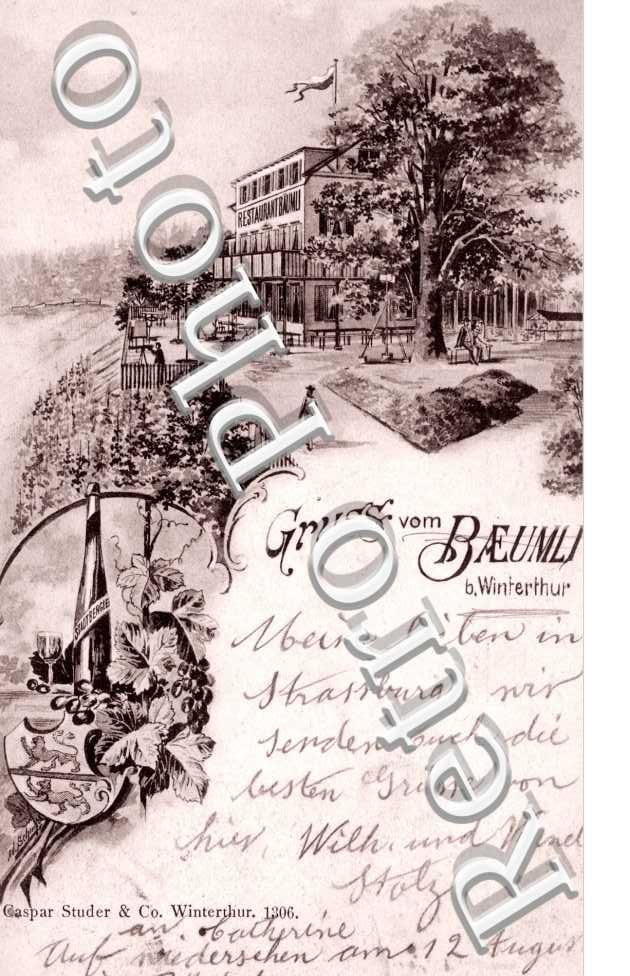 Gruss vom Baeumli...