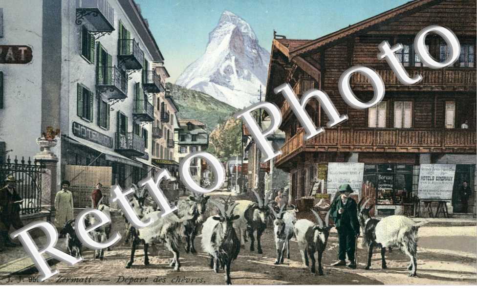 Le depart des chevres