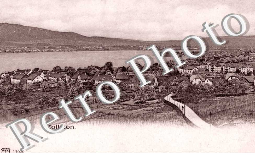 Vue Panoramique