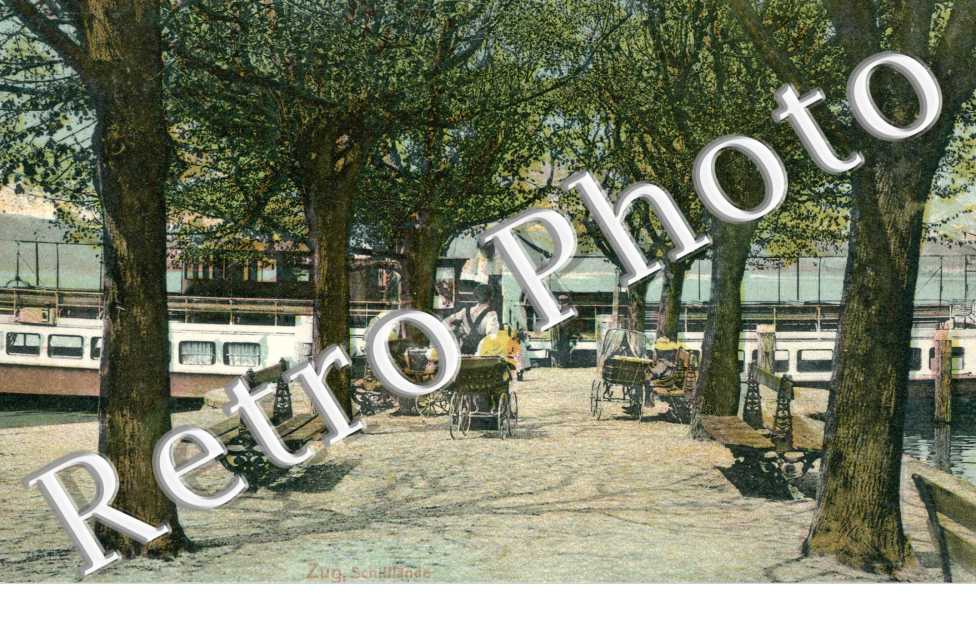 Schilflande