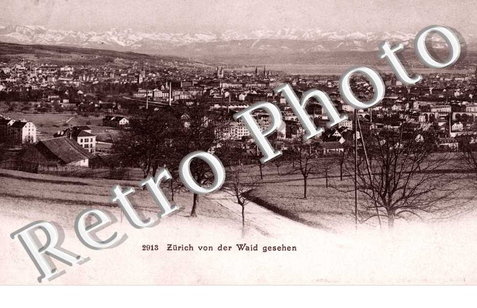 Zurich vom der Weid  gesehen.  Panoramablick. Vue panoramique  Zurich vue du paturage.