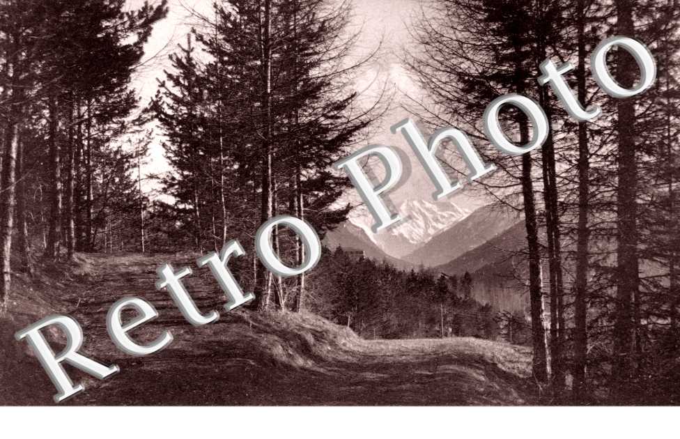 Pineta Bagni Nuovi