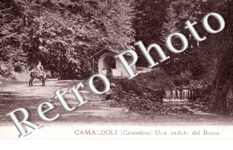 Veduta del Bosco