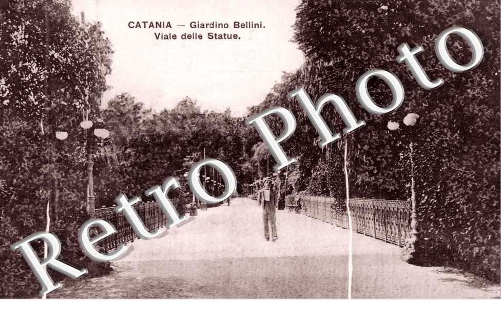 Giardino Bellini  -  viale delle statue