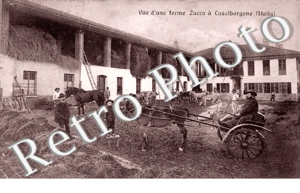 Vue d'une ferme Zucco