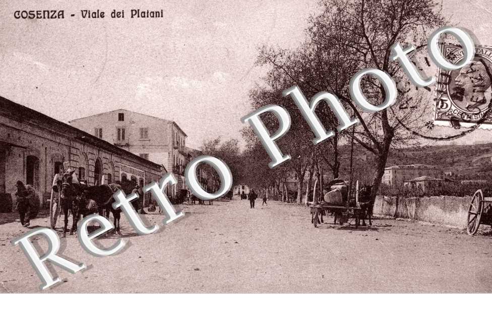 viale dei Platani