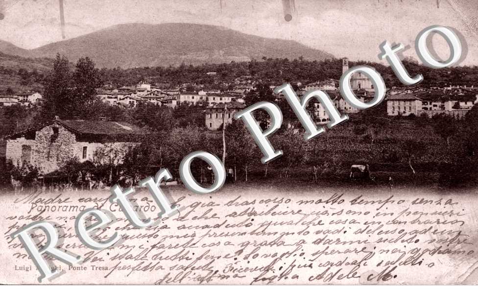 panorama
