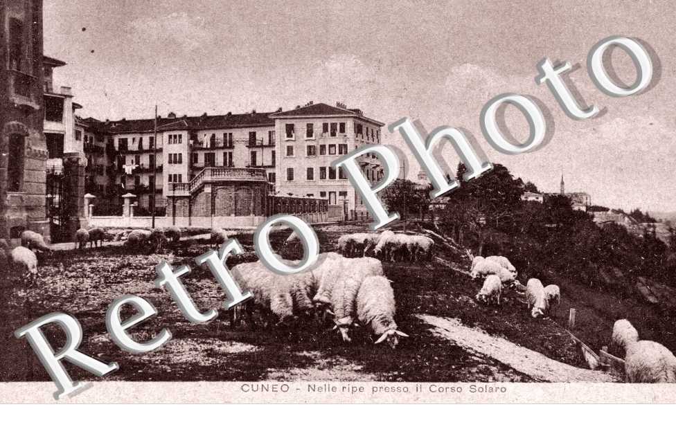 nelle ripe preso il Corso Solaro