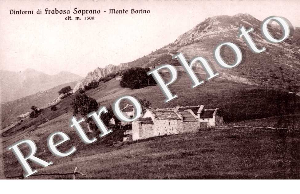 Dintorni di Frabosa Soprana, Monte Borino