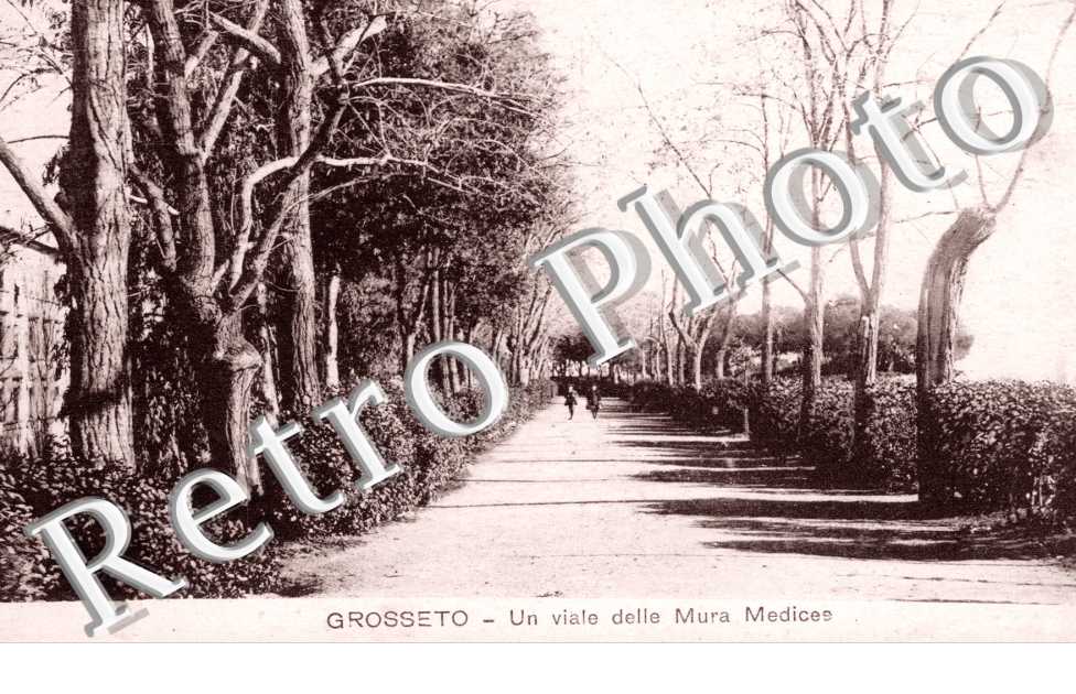 Un viale delle Mura Medicea
