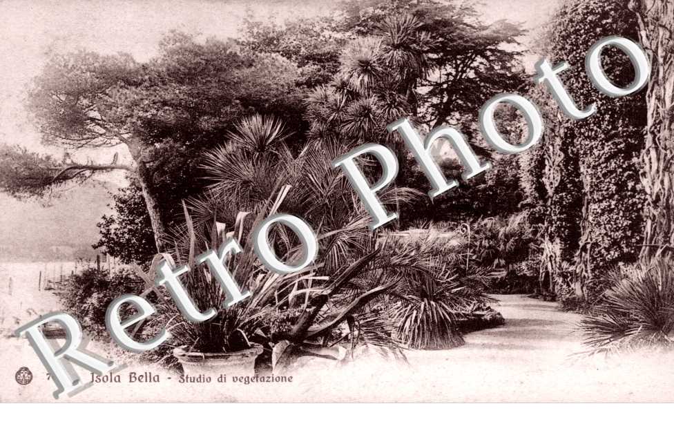 Studio di Vegetazione