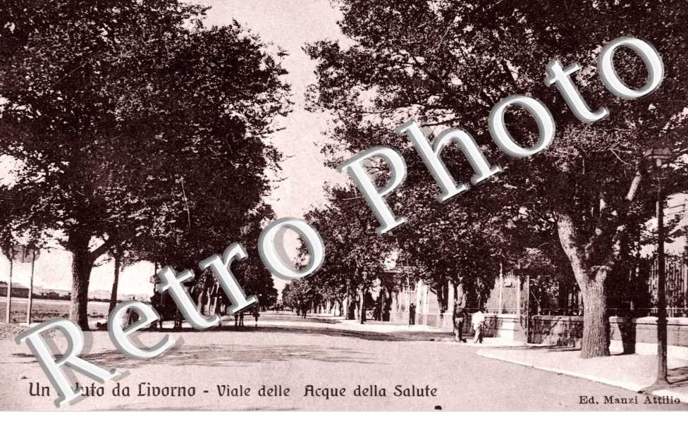 Viale delle Acque della salute