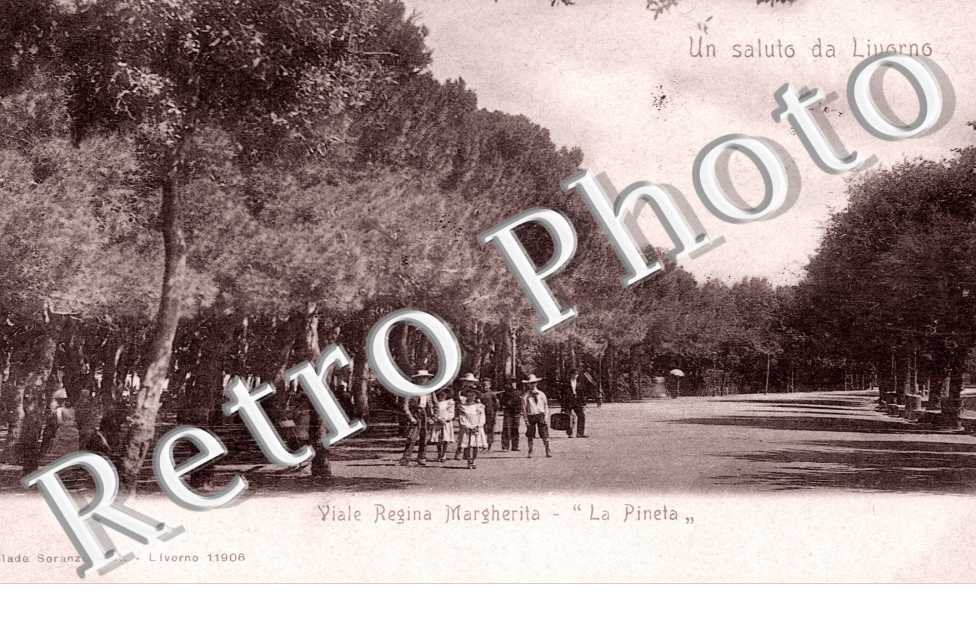 Viale Regina Margherita - "la pineta"