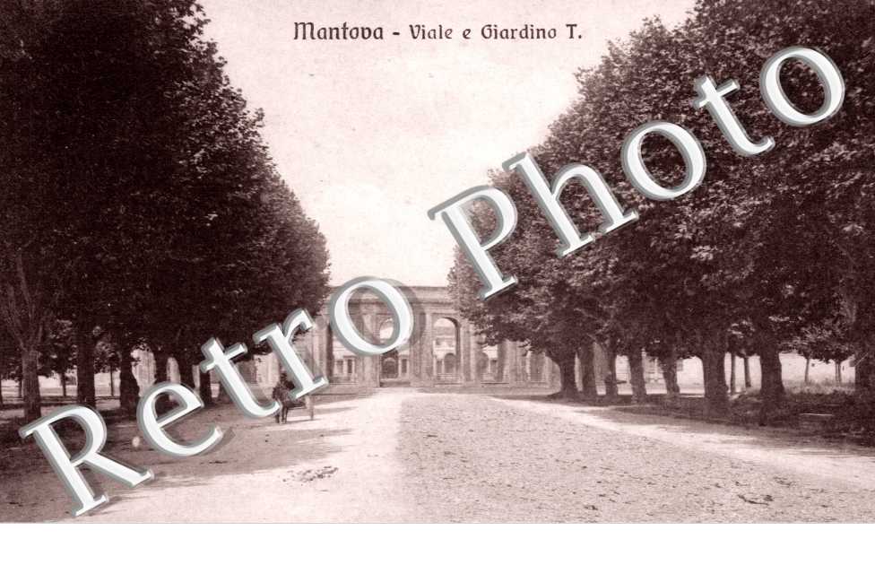 Viale e Giardino T