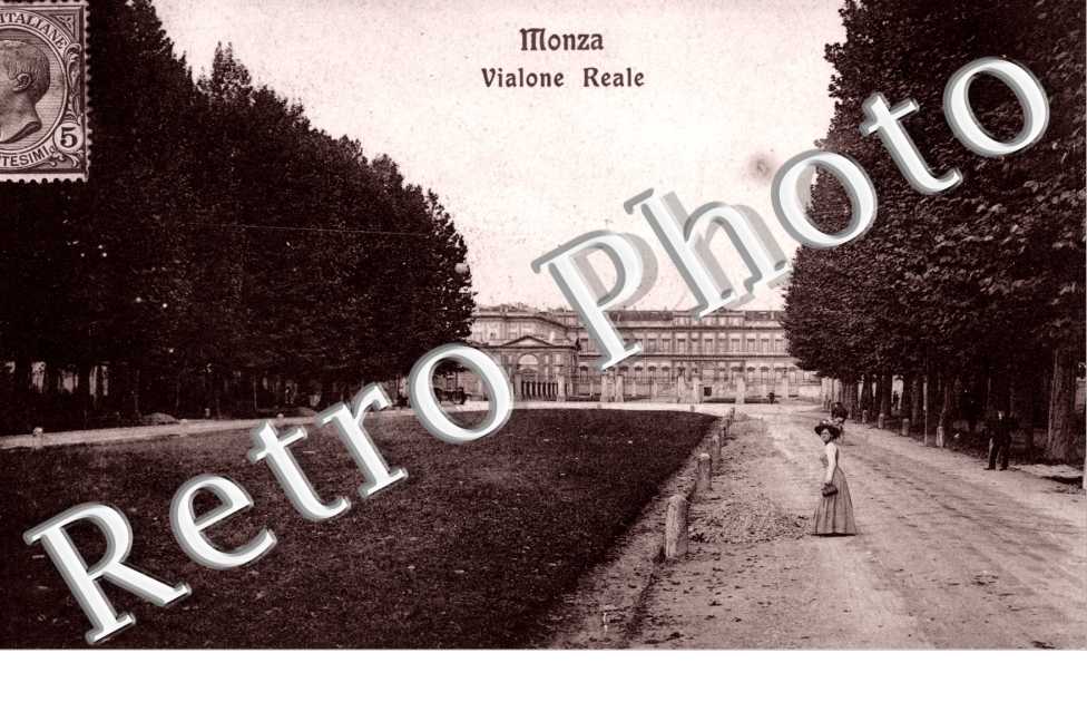 vialone Reale