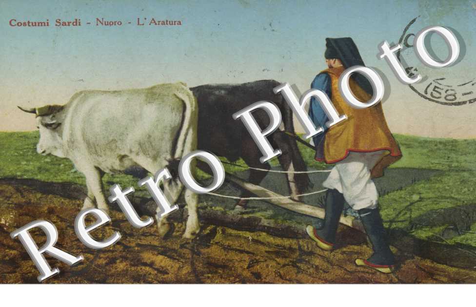 Costumi Sardi, l'Aratura