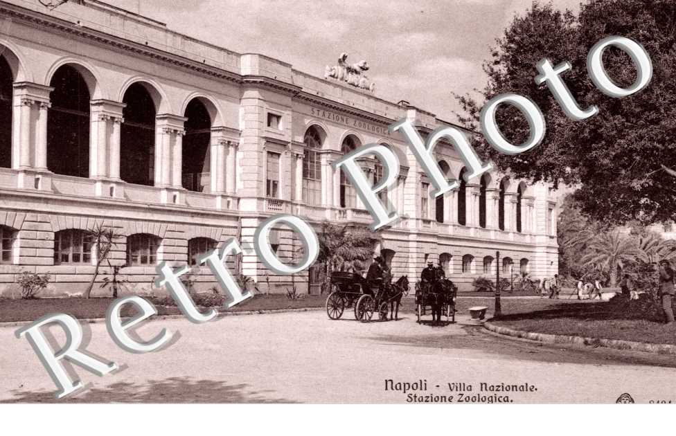Villa Nazionale