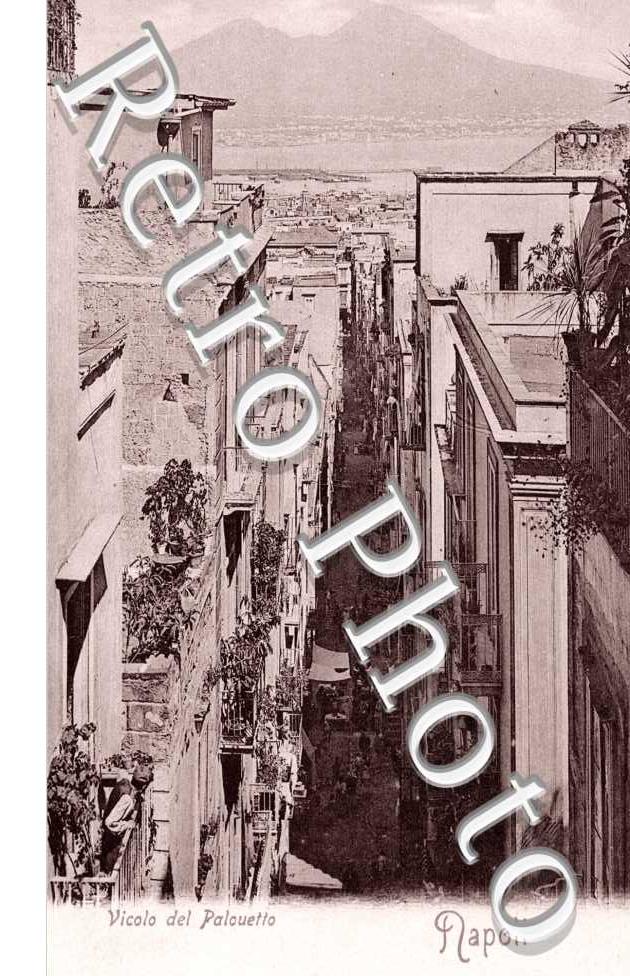Viocolo del Palouetto