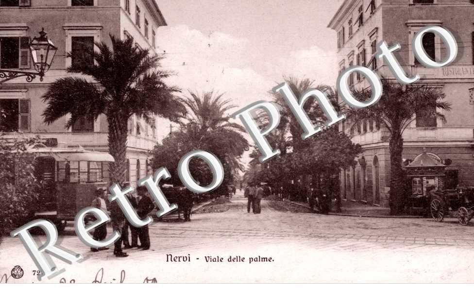 Viale delle Palme