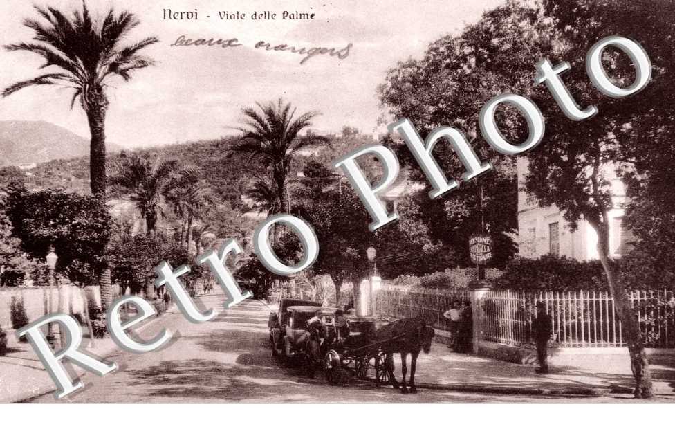 Viale delle Palme