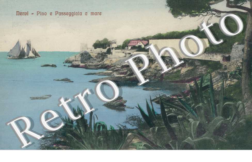 Pino e Passeggiatta a mare