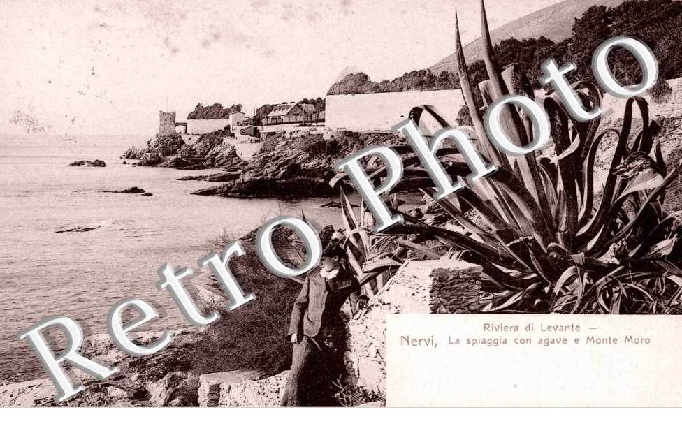 Riviera di Levante, la Spiaggia con agave e Monte Moro