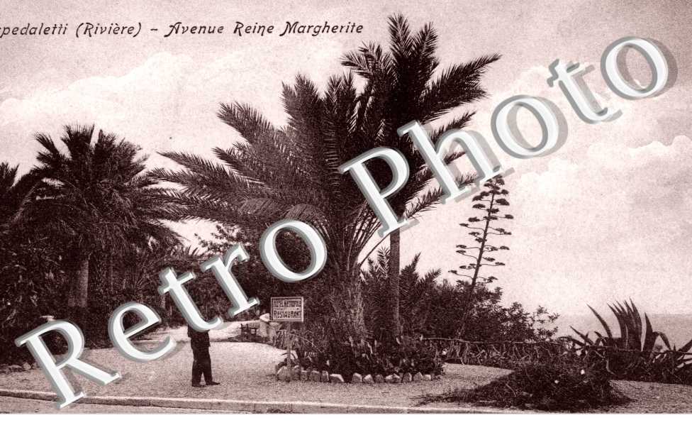 avenue reine Margherite