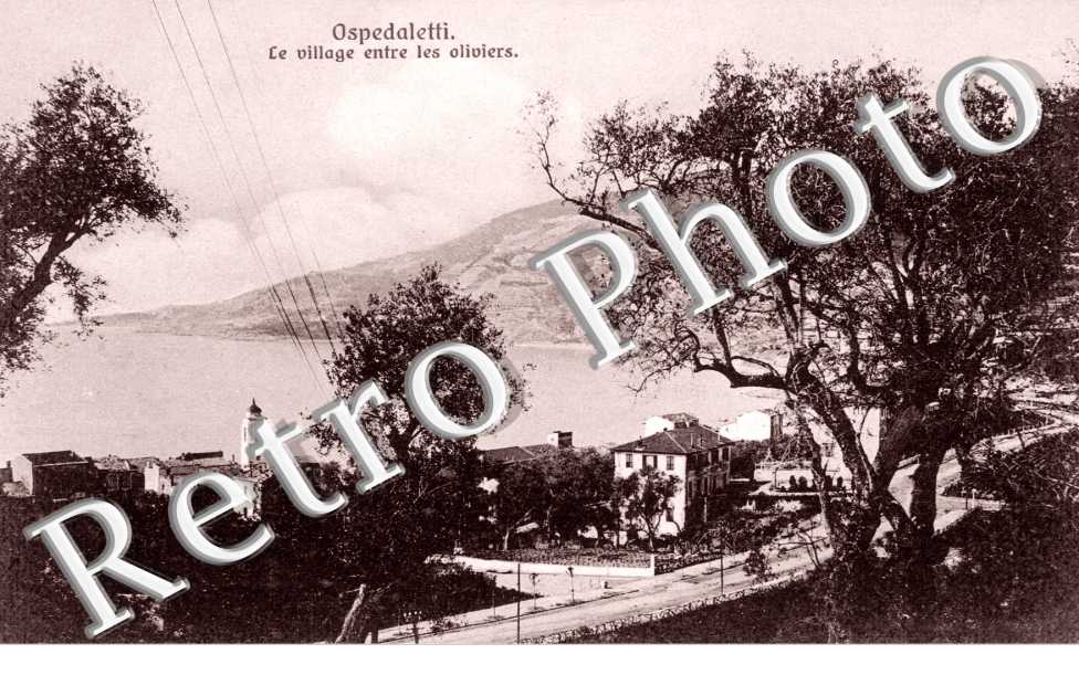 Le Village entre les oliviers
