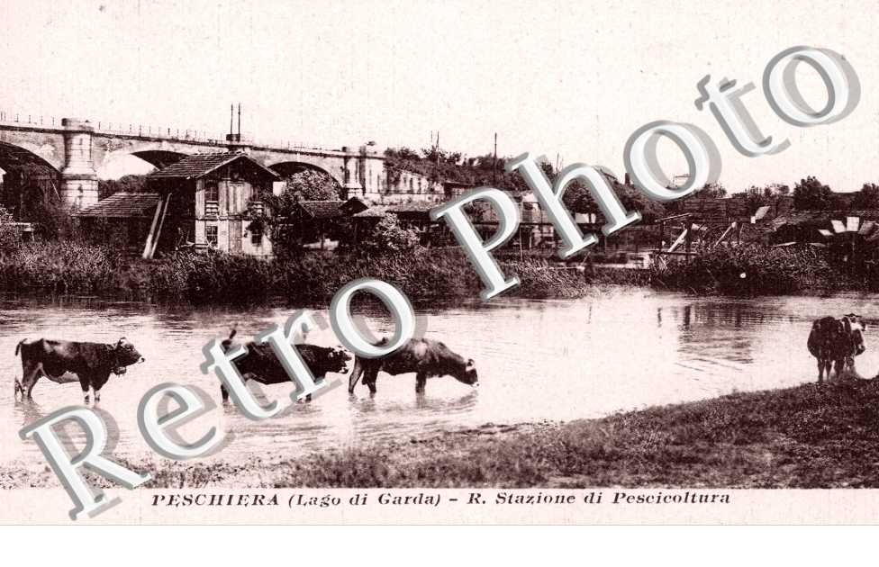 R. Stazione di Pescicoltura