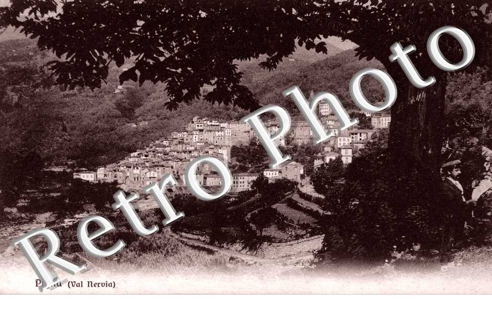 Panorama
