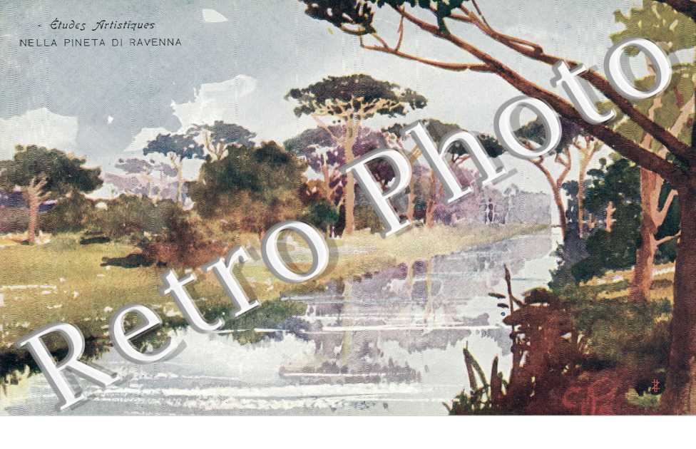 la pineta