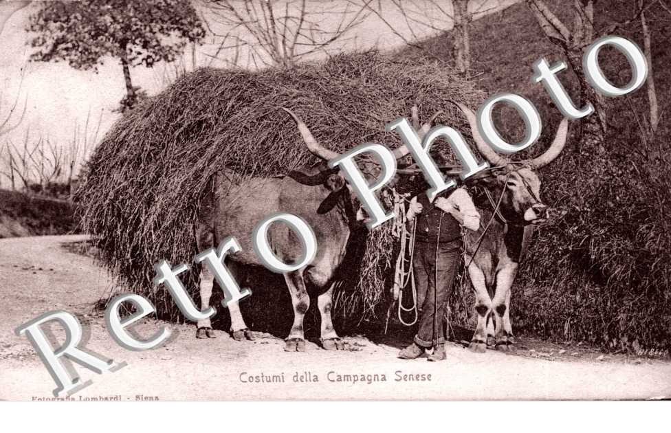 Costumi della Campagna Senese