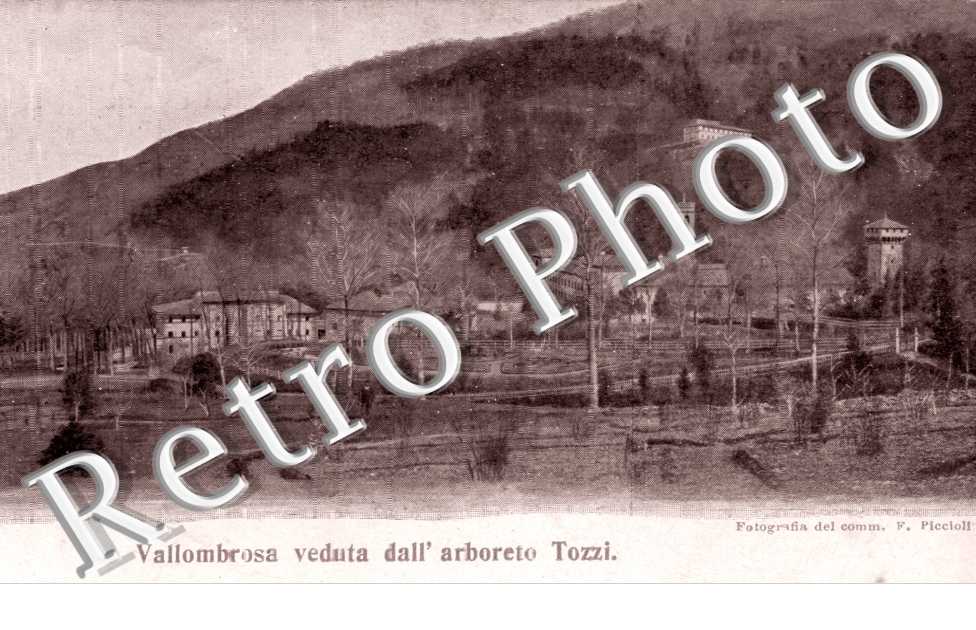 Veduta dall'Arboreto Tozzi