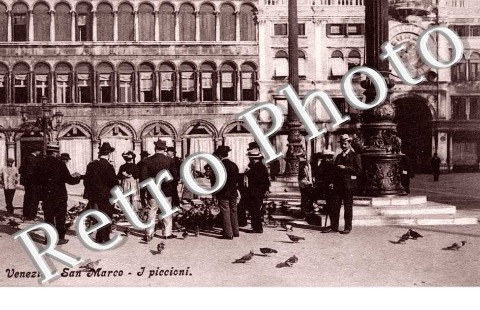 San Marco - I Piccioni