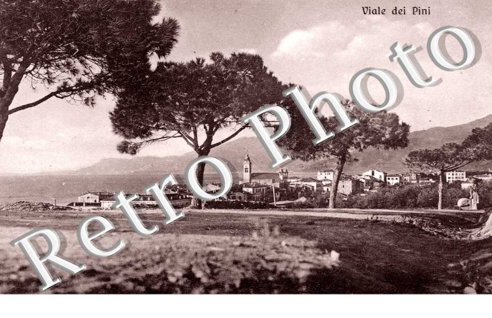 Vue Générale