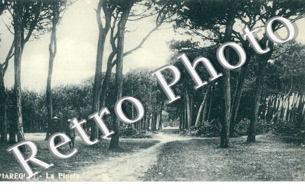 la pineta