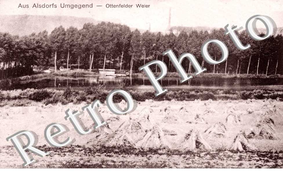Aus Alsdorf Umgegend, Ottenfelder Weier