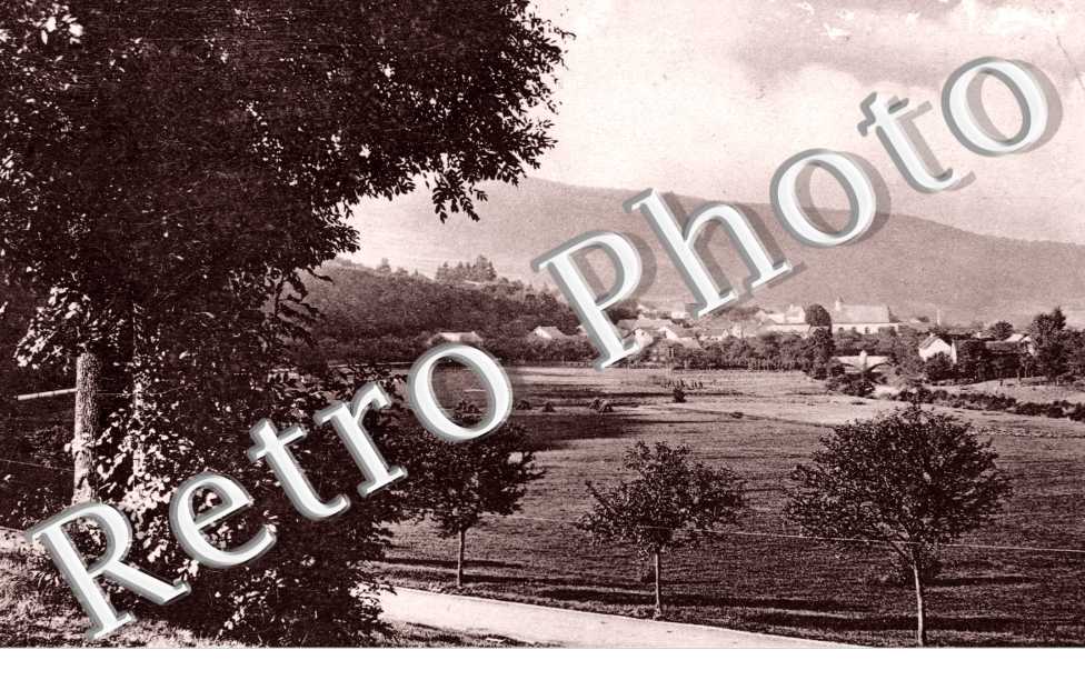 Vue Panoramique