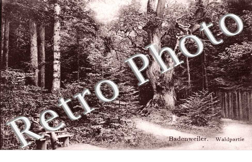 Waldpartie