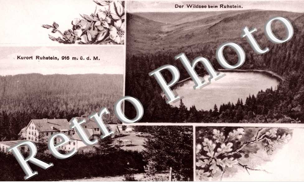 der wildsee beim Ruhstein