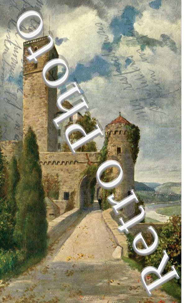 schloss Guttenberg