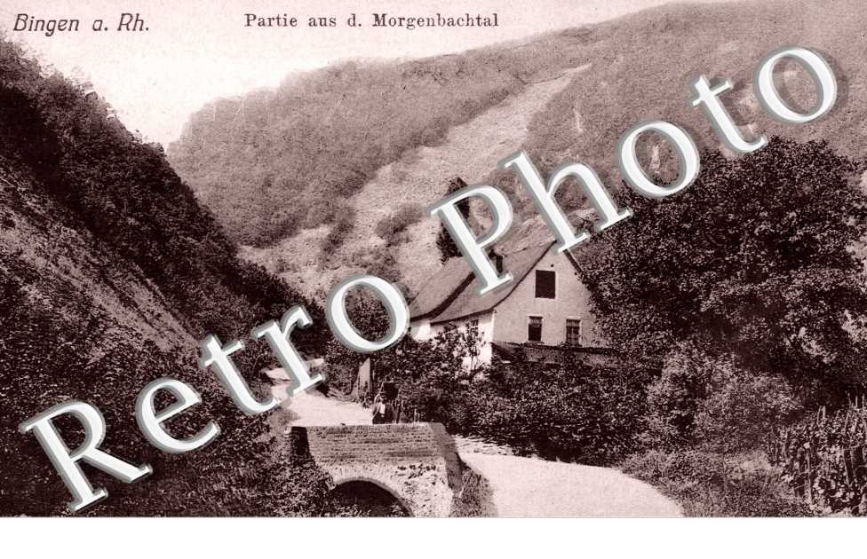 partie aus d. Morgenbachtal