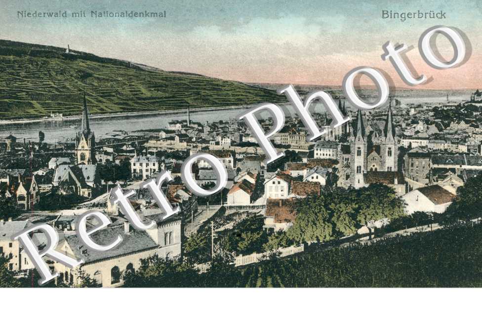 Niederwald mit Nationaldenkmal