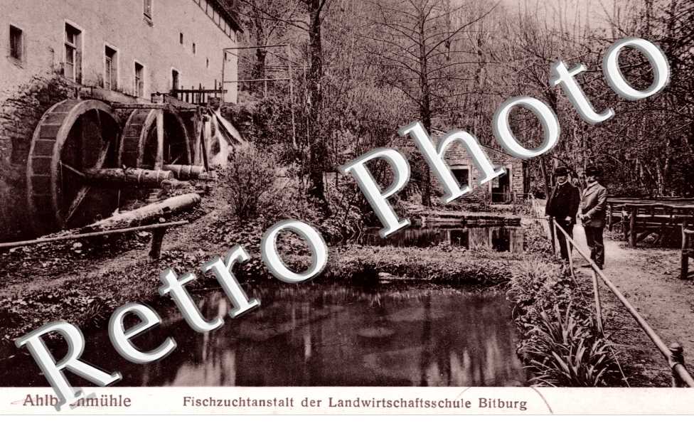 Fischzuchtanstalt der landwirtschaftsschule Bitburg
