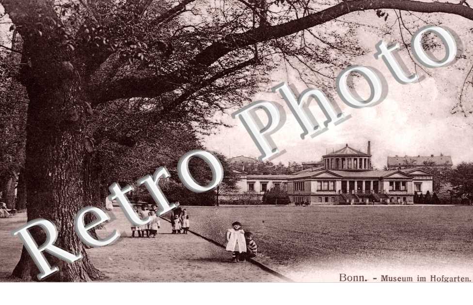 Museum im Hofgarten